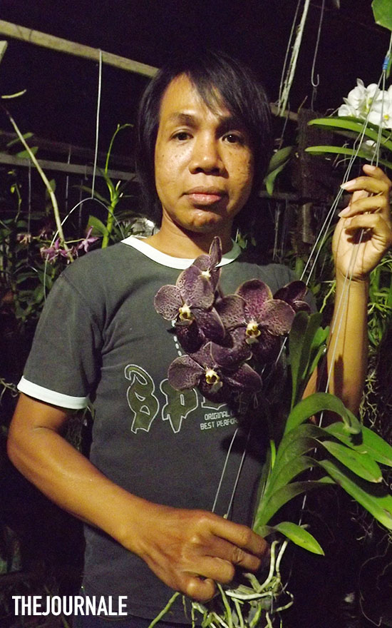 Dedy Adriady penggiat Anggrek Kalimantan
