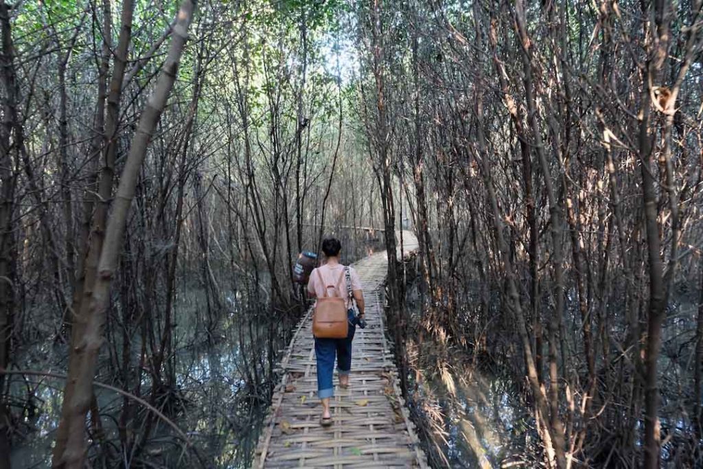 Hutan Mangrove Pantai Karangsong
