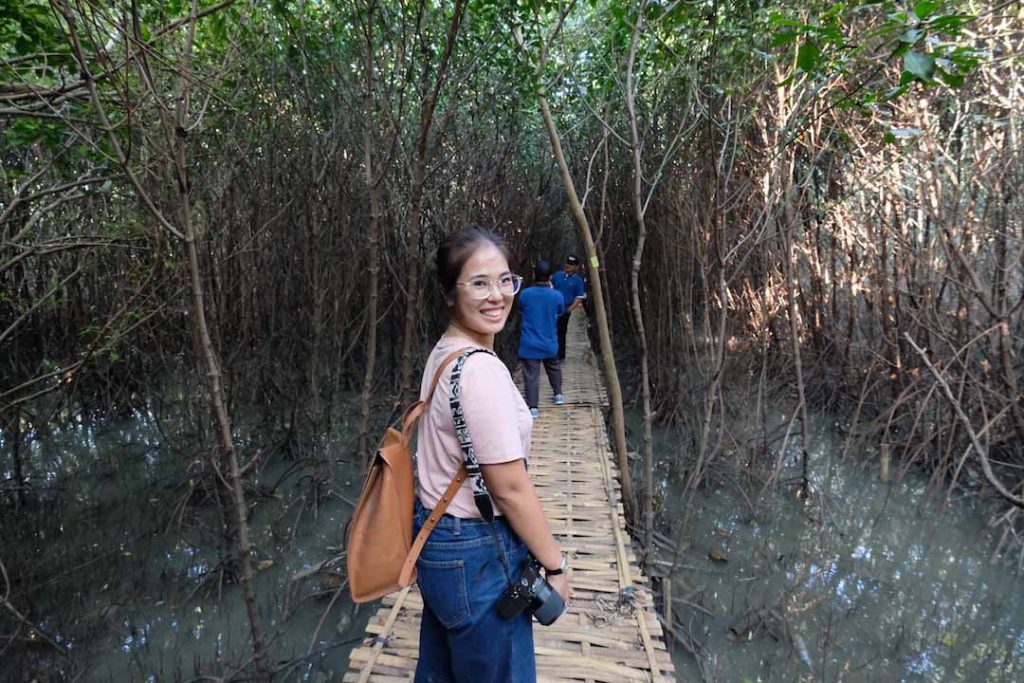 Wisata hutan mangrove pantai Karangsong