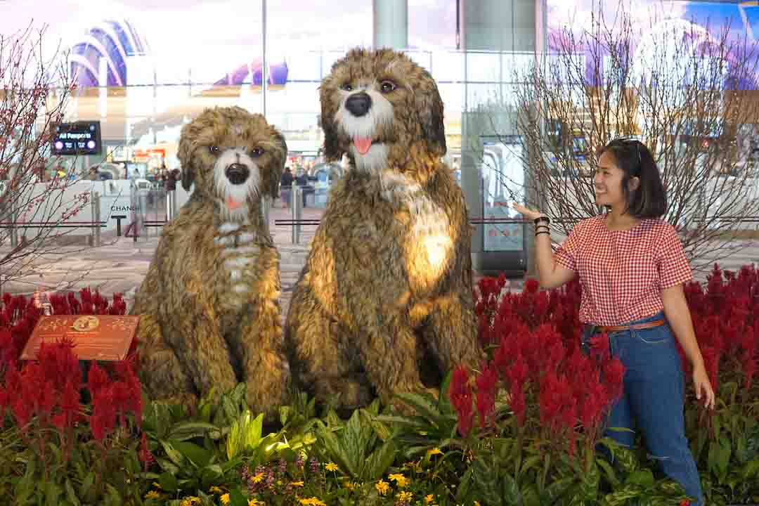 Pertama Kalinya Traveling Bareng Pacar: Explore Changi Airport