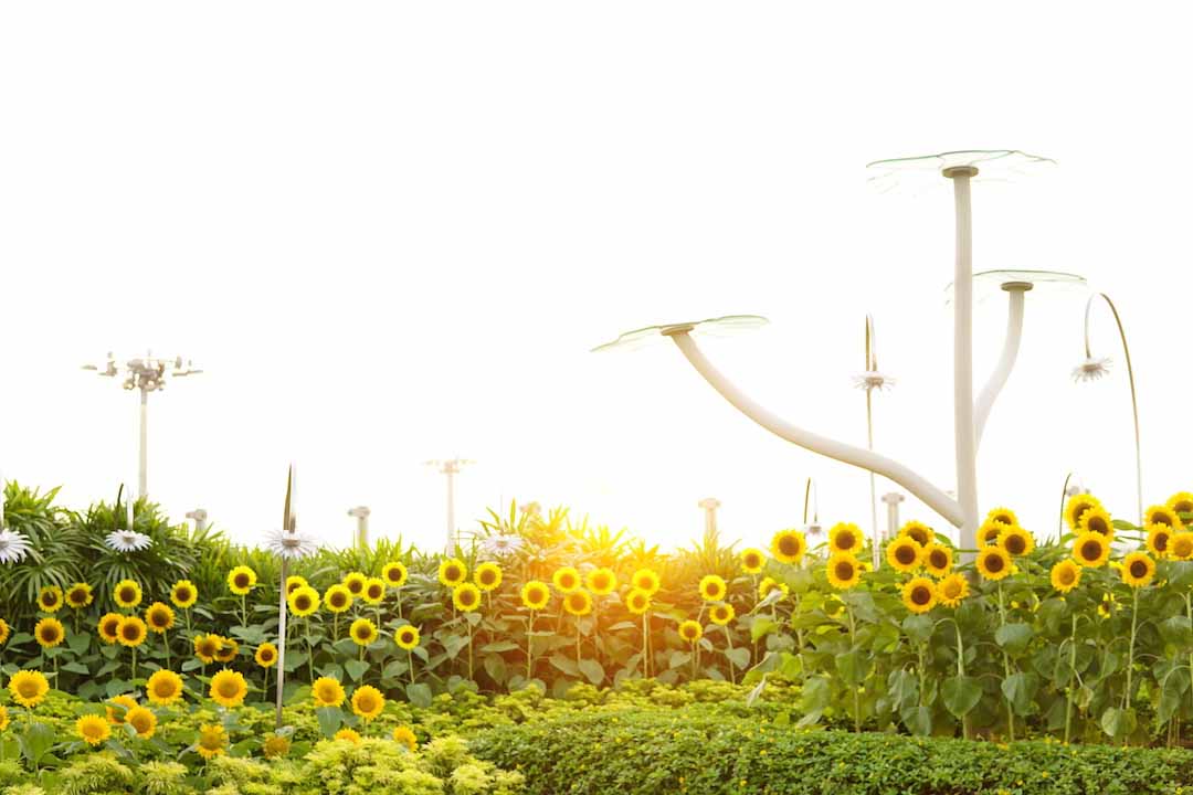 Pertama Kalinya Traveling Bareng Pacar: Explore Changi Airport