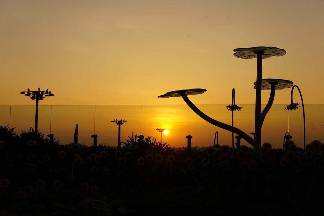 Pertama Kalinya Traveling Bareng Pacar: Explore Changi Airport
